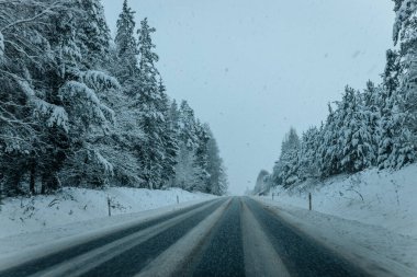 Karla kaplı ağaçlarla dolu soğuk bir ormanın içinden geçen soğuk bir yol. Karlı ormanda kış yolu, ağaçlar ve soğuk hava..