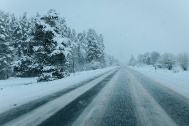 Karla kaplı ağaçlarla dolu soğuk bir ormanın içinden geçen soğuk bir yol. Karlı ormanda kış yolu, ağaçlar ve soğuk hava..