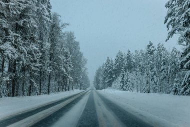 Karla kaplı ağaçlarla dolu soğuk bir ormanın içinden geçen soğuk bir yol. Karlı ormanda kış yolu, ağaçlar ve soğuk hava..