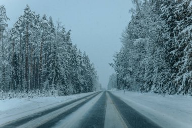 Karla kaplı ağaçlarla dolu soğuk bir ormanın içinden geçen soğuk bir yol. Karlı ormanda kış yolu, ağaçlar ve soğuk hava..