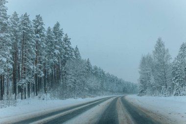 Karla kaplı ağaçlarla dolu soğuk bir ormanın içinden geçen soğuk bir yol. Karlı ormanda kış yolu, ağaçlar ve soğuk hava..