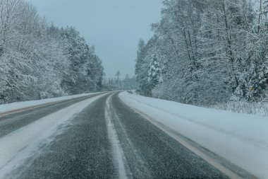 Karla kaplı ağaçlarla dolu soğuk bir ormanın içinden geçen soğuk bir yol. Karlı ormanda kış yolu, ağaçlar ve soğuk hava..