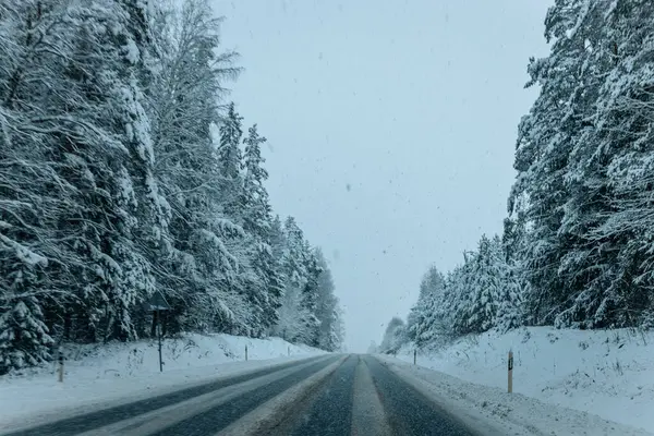 Karla kaplı ağaçlarla dolu soğuk bir ormanın içinden geçen soğuk bir yol. Karlı ormanda kış yolu, ağaçlar ve soğuk hava..