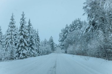 Karla kaplı ağaçlarla dolu soğuk bir ormanın içinden geçen soğuk bir yol. Karlı ormanda kış yolu, ağaçlar ve soğuk hava..