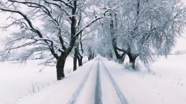 Karla kaplı kır yolu. Kışın ağaçların arasında