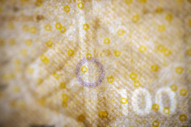 100 Danimarka kronu, Bayrağın önünde ve arkasında