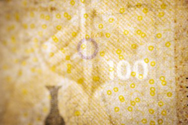 100 Danimarka kronu, Bayrağın önünde ve arkasında