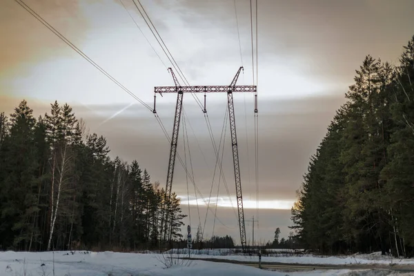High voltage line in forest environment. Latvian high voltage li