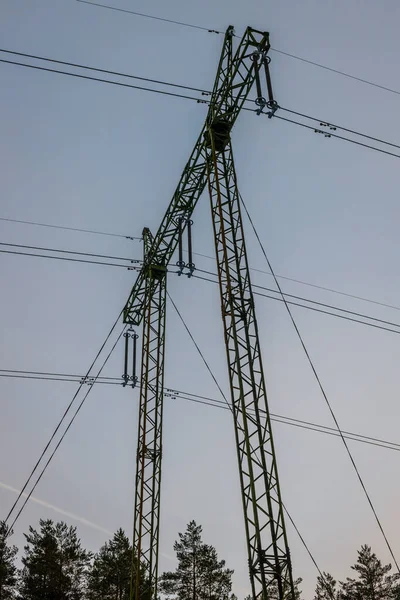 High voltage line in forest environment. Latvian high voltage li