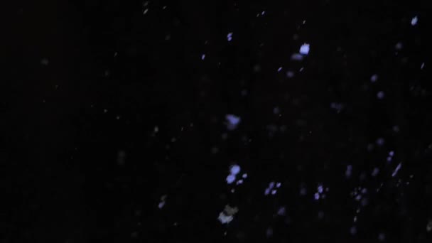 Pod Spokojnym Nocnym Niebem Delikatne Płatki Śniegu Delikatnie Opadają Chwytając — Wideo stockowe