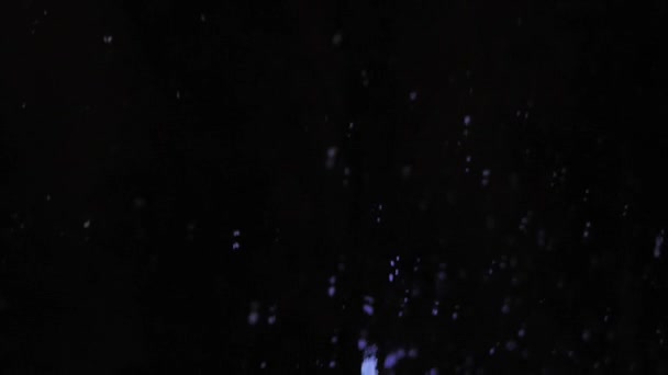 Den Lugna Natthimlen Stiger Ömtåliga Snöflingor Försiktigt Ner Och Fångar — Stockvideo