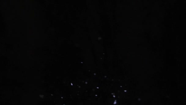Pod Klidnou Noční Oblohou Jemné Sněhové Vločky Jemně Klesají Odrážejí — Stock video