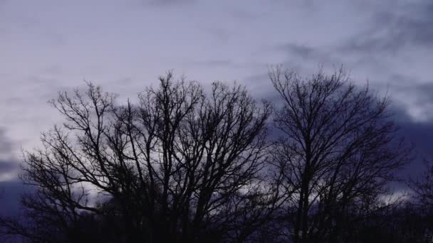 云彩在天空中的移动 云彩戏剧化的天空 — 图库视频影像
