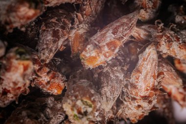 Çam tomurcukları sağlıklı beslenir. Çam tomurcukları yığını