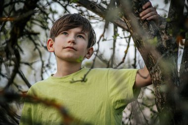 Yeşil tişörtlü bir çocuk ağaç dalında oturuyor..