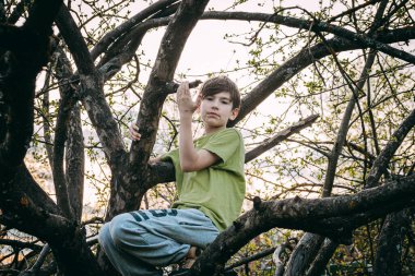 Bahçedeki bir ağaç dalında oturan bir çocuğun portresi.