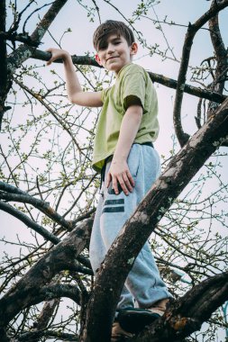 Bahçedeki bir ağaç dalında oturan bir çocuğun portresi.