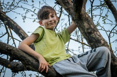 Bahçedeki bir ağaç dalında oturan bir çocuğun portresi.