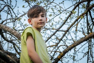 Bahçedeki bir ağaç dalında oturan bir çocuğun portresi.