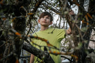 Bahçedeki bir ağaç dalında oturan bir çocuğun portresi.