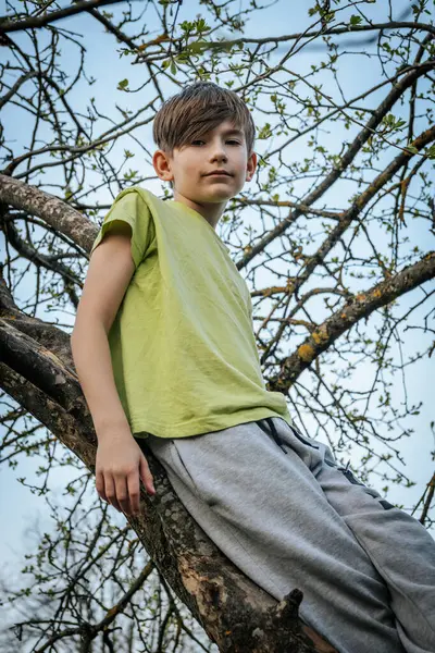 Bahçedeki bir ağaç dalında oturan bir çocuğun portresi.
