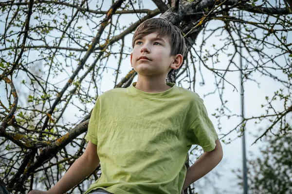 Bahçedeki bir ağaç dalında oturan bir çocuğun portresi.