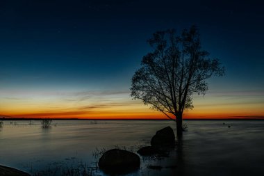 Ağaçların siluetlerinden gölde güzel bir günbatımı yansıdı.