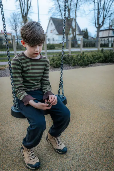 stock image A boy is sitting on a swing. Smiling happy child