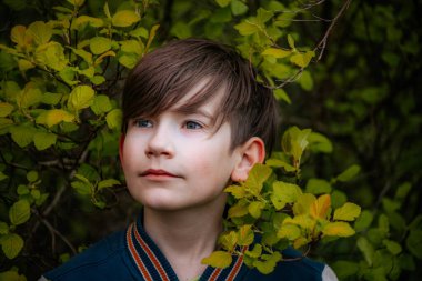 Kameraya poz veren bir çocuğun portresi. Çocuk yeşil çalıların yanında duruyor.