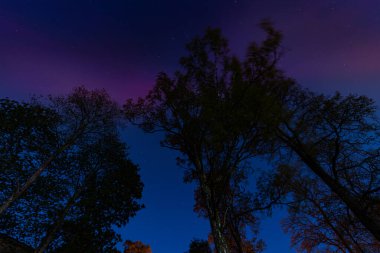 Gökyüzünün zirvesinde kuzey ışıkları. Aurora Borealis veya Kuzey Işıkları Letonya. Kuzey ışıkları gökyüzünde parlıyor