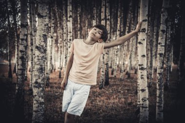 Açık yeşil tişörtlü genç bir çocuk sakin bir ormanda bir huş ağacına tutunurken yukarı bakıyor. Arka planda, barışçıl ve doğal bir ortam yaratan sayısız huş ağacı yer alıyor..