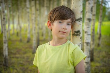 Açık yeşil tişörtlü genç bir çocuk sakin bir ormanda bir huş ağacına tutunurken yukarı bakıyor. Arka planda, barışçıl ve doğal bir ortam yaratan sayısız huş ağacı yer alıyor..