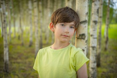 Açık yeşil tişörtlü genç bir çocuk sakin bir ormanda bir huş ağacına tutunurken yukarı bakıyor. Arka planda, barışçıl ve doğal bir ortam yaratan sayısız huş ağacı yer alıyor..