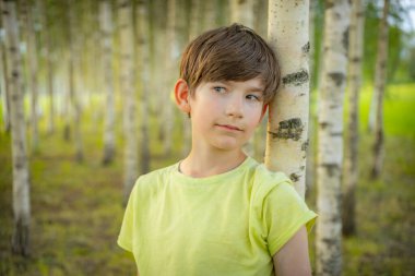 Açık yeşil tişörtlü genç bir çocuk sakin bir ormanda bir huş ağacına tutunurken yukarı bakıyor. Arka planda, barışçıl ve doğal bir ortam yaratan sayısız huş ağacı yer alıyor..
