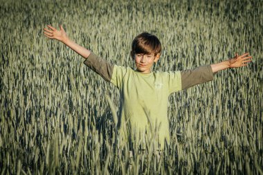 Çavdar tarlasının ortasında genç bir çocuk kolları açık duruyor ve doğanın enginliğinin tadını çıkarıyor. Bereketli yeşil alan ve berrak mavi gökyüzü dingin ve canlı bir hava sağlıyor.