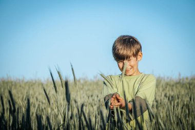 Çavdar tarlasında duran genç bir çocuk elinde çavdar saplarıyla nazikçe gülümsüyor. Açık mavi gökyüzü ve yemyeşil alan güzel bir doğal zemin sağlar..
