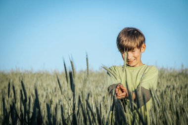 Çavdar tarlasında duran genç bir çocuk elinde çavdar saplarıyla nazikçe gülümsüyor. Açık mavi gökyüzü ve yemyeşil alan güzel bir doğal zemin sağlar..