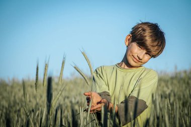 Çavdar tarlasında duran genç bir çocuk elinde çavdar saplarıyla nazikçe gülümsüyor. Açık mavi gökyüzü ve yemyeşil alan güzel bir doğal zemin sağlar..