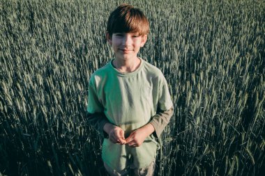 Yoğun bir çavdar tarlasının ortasında duran genç bir çocuk elinde nazikçe çavdar sapları tutuyordu. Arkasındaki alan berrak mavi gökyüzünün altında uzanıyor ve huzurlu ve doğal bir manzara yaratıyor..