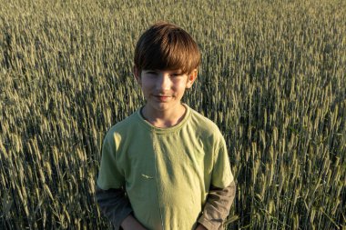 Yoğun bir çavdar tarlasının ortasında duran genç bir çocuk elinde nazikçe çavdar sapları tutuyordu. Arkasındaki alan berrak mavi gökyüzünün altında uzanıyor ve huzurlu ve doğal bir manzara yaratıyor..