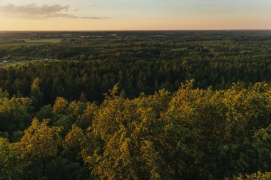 Sakin bir günbatımı Zilaiskalns kasabasını ve etrafındaki ormanı altın ışıkla yıkar. Sıcak renkler, doğa ve şehir yaşamının karışımını vurgulayan sakin bir atmosfer yaratıyor.