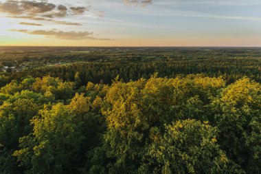 Sakin bir günbatımı Zilaiskalns kasabasını ve etrafındaki ormanı altın ışıkla yıkar. Sıcak renkler, doğa ve şehir yaşamının karışımını vurgulayan sakin bir atmosfer yaratıyor.