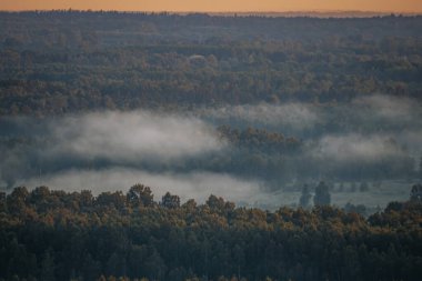 Ağaçların üzerinde süzülen sisli bir orman manzarasının üzerinde huzurlu bir gün doğumu. Gökyüzü yumuşak turuncu renklerle parlıyor, huzurlu ve resimsel bir manzara yaratıyor..