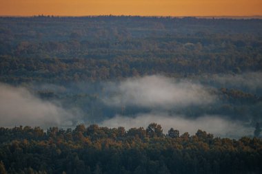 Ağaçların üzerinde süzülen sisli bir orman manzarasının üzerinde huzurlu bir gün doğumu. Gökyüzü yumuşak turuncu renklerle parlıyor, huzurlu ve resimsel bir manzara yaratıyor..