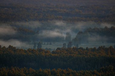 Ağaçların üzerinde süzülen sisli bir orman manzarasının üzerinde huzurlu bir gün doğumu. Gökyüzü yumuşak turuncu renklerle parlıyor, huzurlu ve resimsel bir manzara yaratıyor..