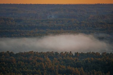 Ağaçların üzerinde süzülen sisli bir orman manzarasının üzerinde huzurlu bir gün doğumu. Gökyüzü yumuşak turuncu renklerle parlıyor, huzurlu ve resimsel bir manzara yaratıyor..