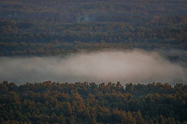 Ağaçların üzerinde süzülen sisli bir orman manzarasının üzerinde huzurlu bir gün doğumu. Gökyüzü yumuşak turuncu renklerle parlıyor, huzurlu ve resimsel bir manzara yaratıyor..