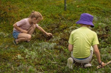 İki çocuk, biri pembe gömlekli ve kot şortlu, diğeri yeşil gömlekli ve mor şapkalı, orman zemininde diz çöküp doğal çevreyi keşfediyorlar..