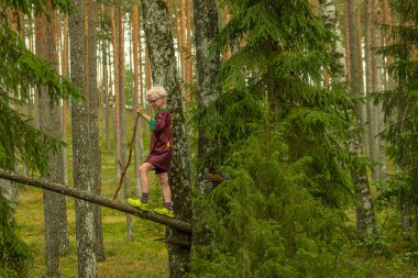 Kestane rengi gömlekli ve sarı-yeşil ayakkabılı genç bir çocuk sık bir ormanda bir ağaca tırmanıyor, elinde sopayla kameraya bakıyor..