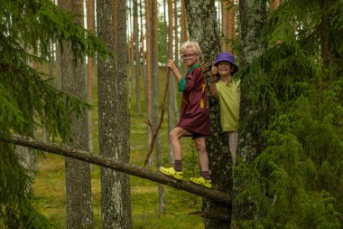 Biri kestane rengi gömlekli, diğeri yeşil gömlekli ve mor şapkalı iki çocuk sık bir ormanda ağaçlara tırmanıyor, gülümsüyor ve maceralarının tadını çıkarıyorlar..